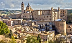 Urbino