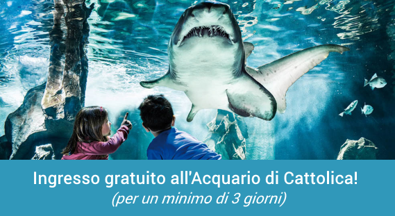 Offerte Hotel Acquario di Cattolica