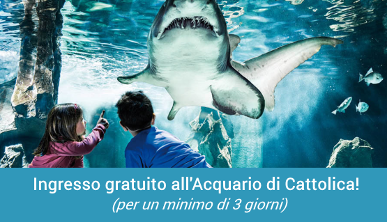 Offerta Ponte dell'Immacolata Cattolica